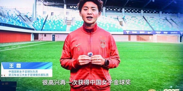 大乐透综合走势图-追光 | 上个赛季的中国足球，这些名字值得被记忆